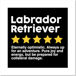 Labrador Retriever funny rating quote Posters and Art